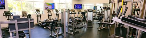 hallandale gym|The Best 10 Gyms near Hallandale Beach, FL 33009 .